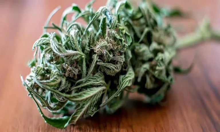 Cannabis Retail in a 24-Hour City: How Las Vegas Shift Work and Tourism Shape Dispensary Hours and Access